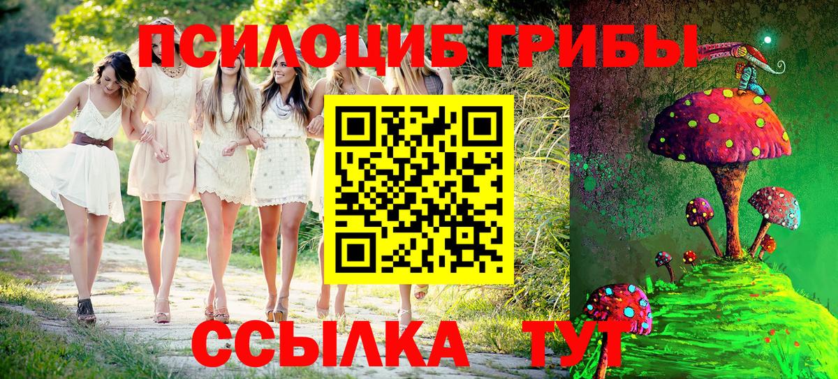 Галлюциногенные грибы мухоморы Россошь